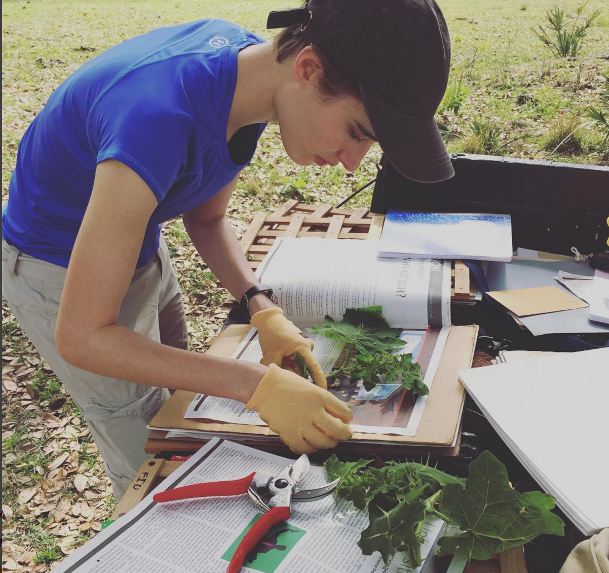 Screen Shot 2016-08-28 at 10.54.21 PM