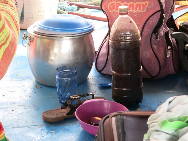 IMG_4693-fourmis sauvas