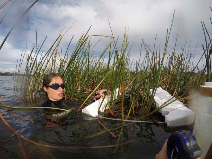 my-field-assistant-matariki-using-a-quadrat-to-collect-data-on-the-tiny-island-of-kuta