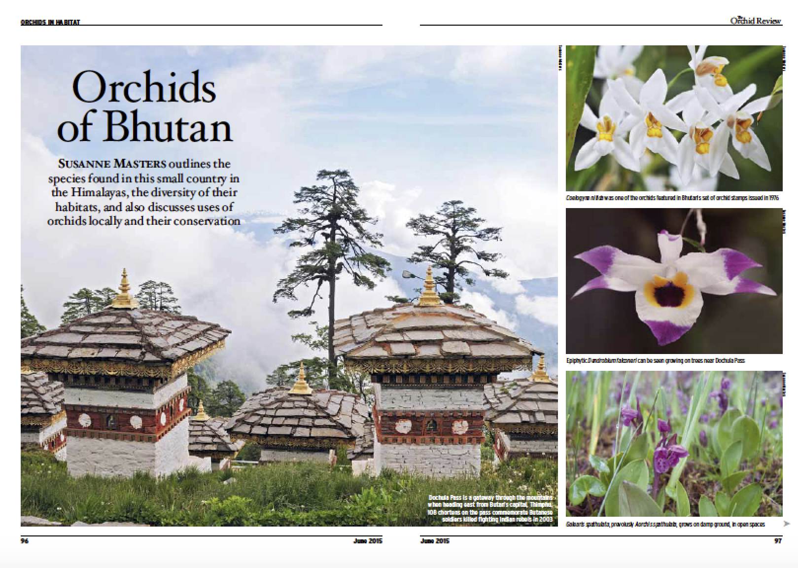 Orchid Review Orchids of Bhutan
