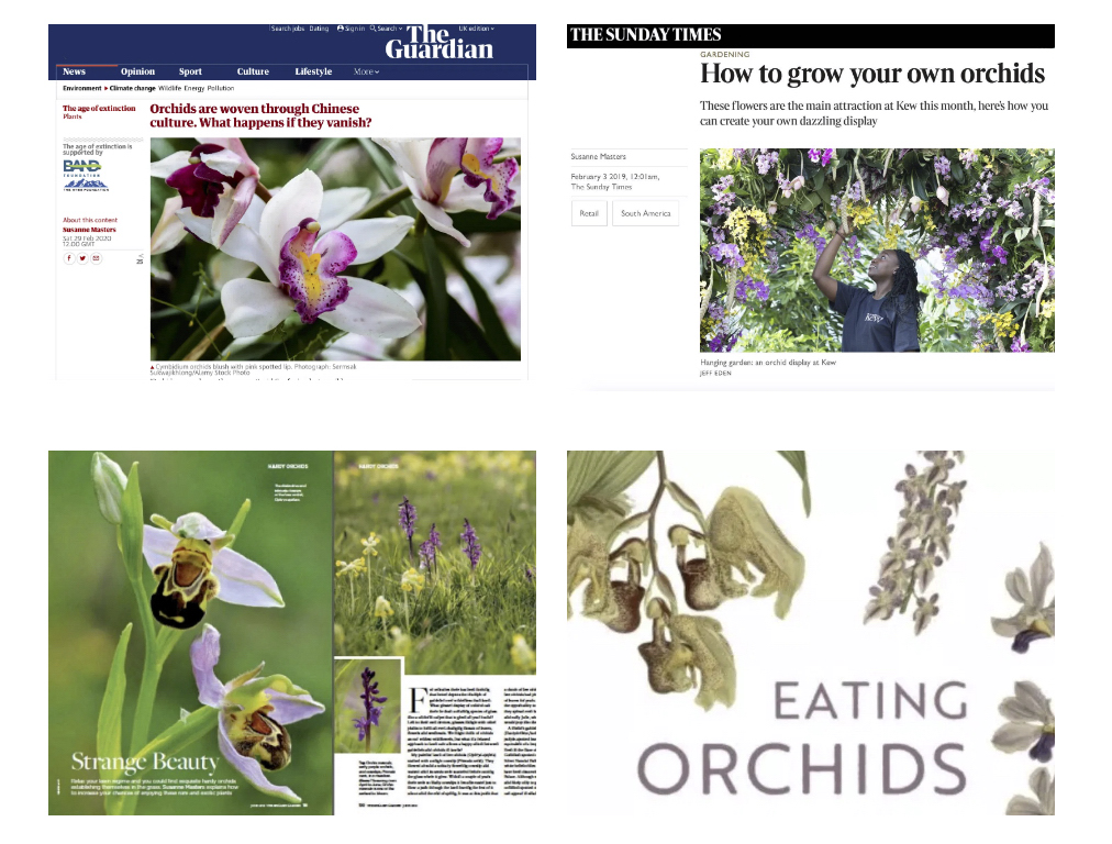 Orchids articles examples